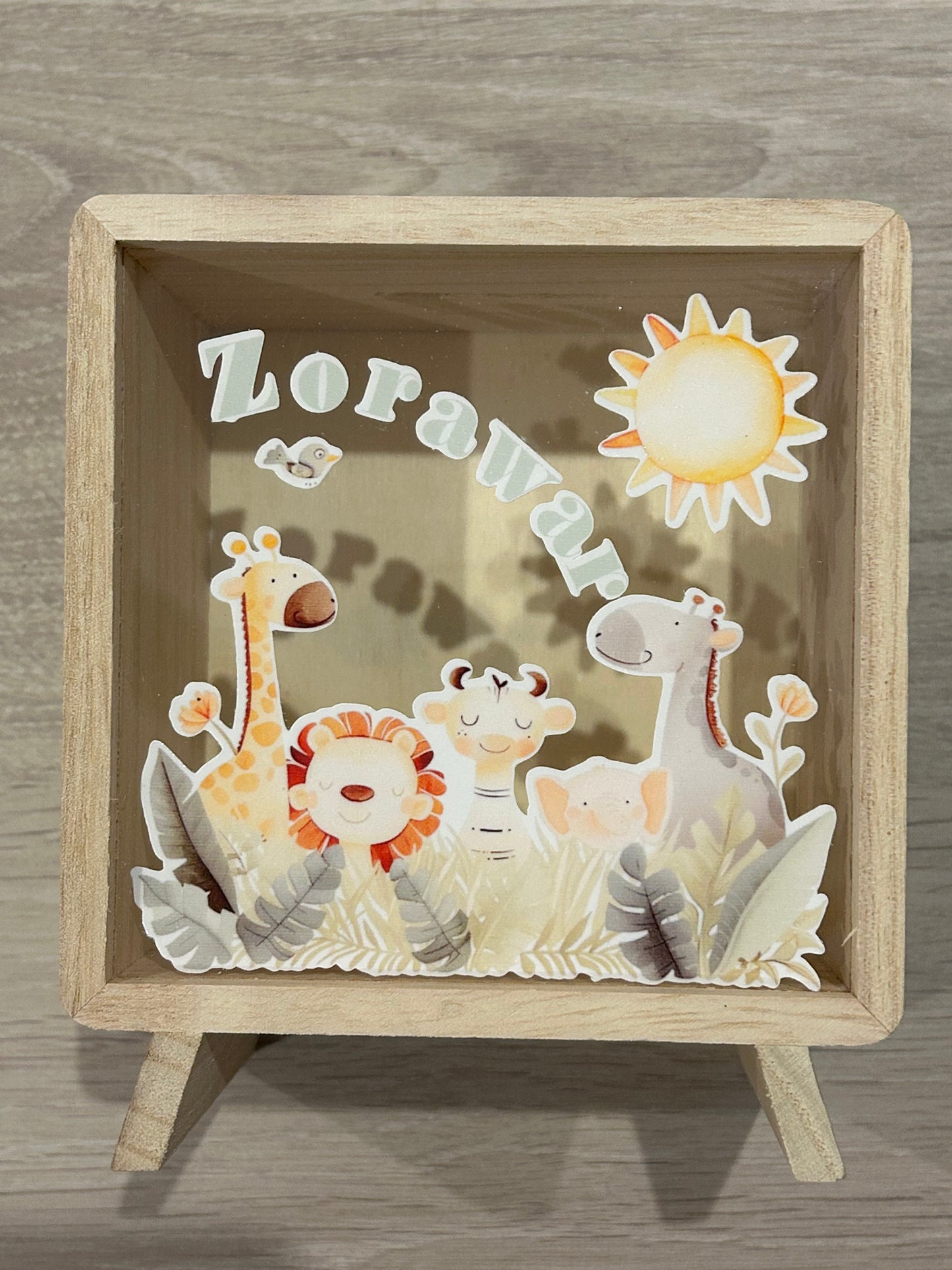 Money Box for Zorawar
