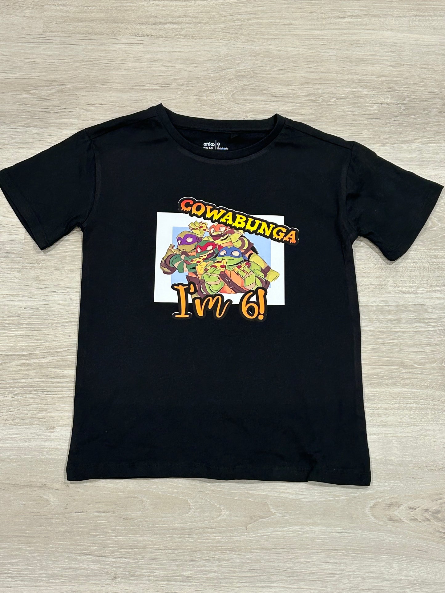 Birthday Shirt for Blaze turning 6!