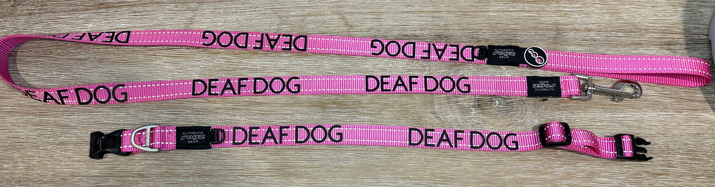 Dog Lead and Collar