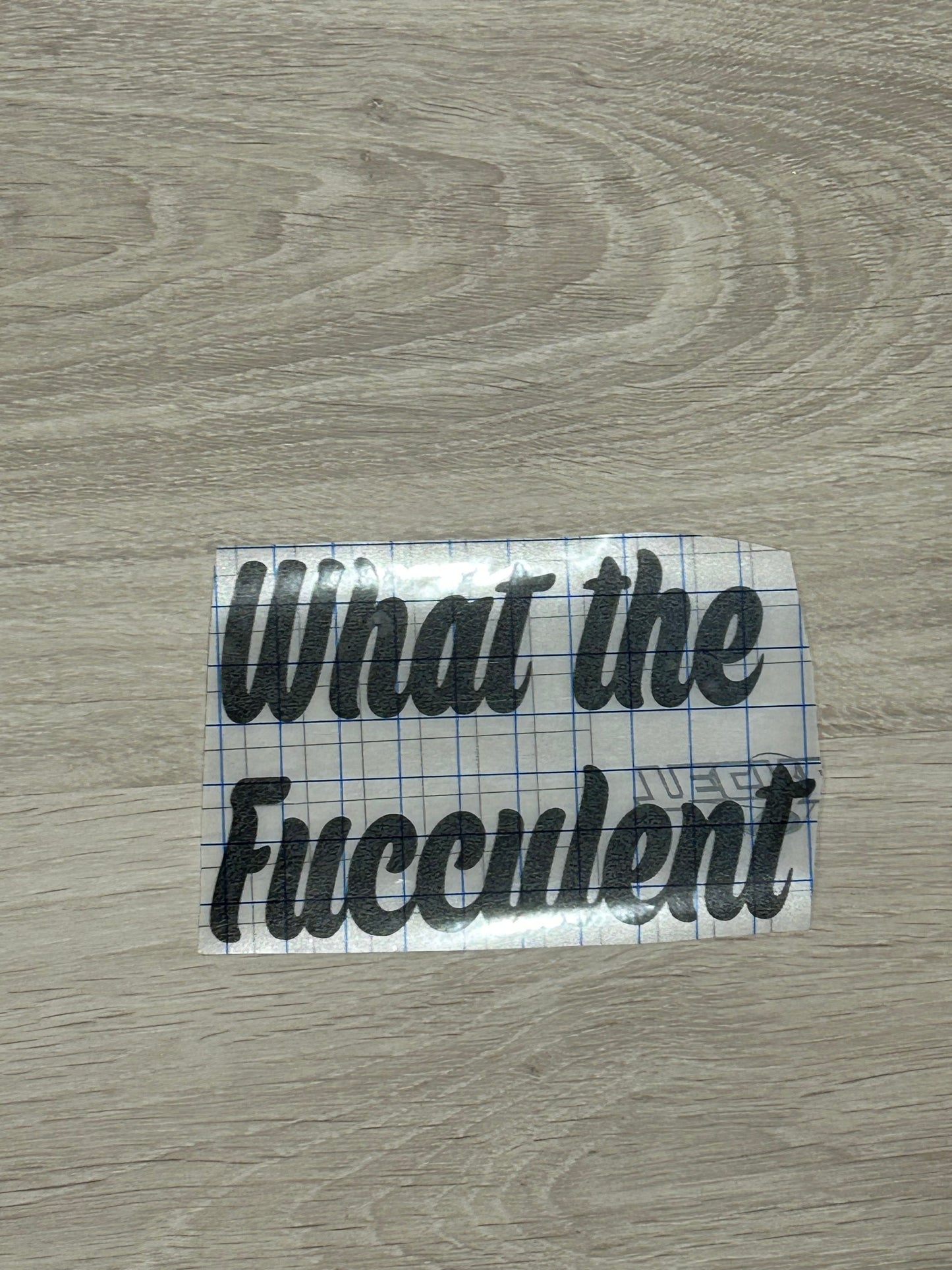 Decal for a pot plant