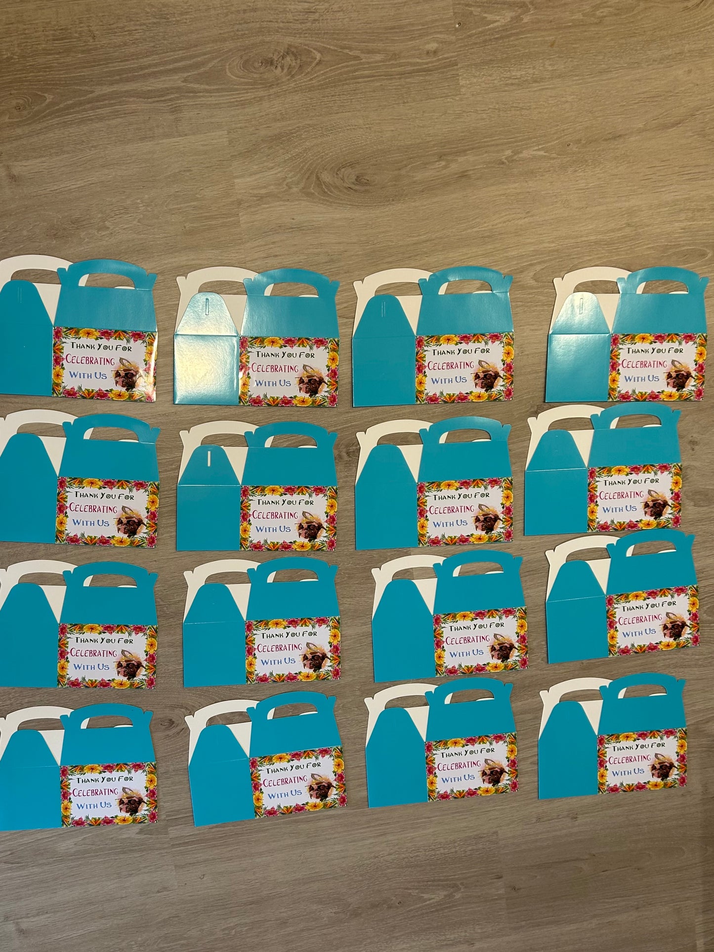 Moana Theme Party Boxes