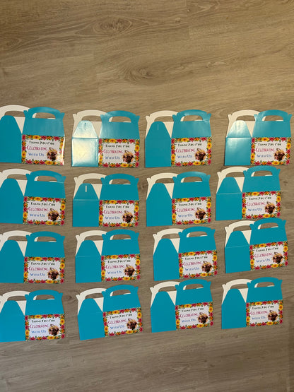 Moana Theme Party Boxes