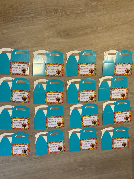 Moana Theme Party Boxes