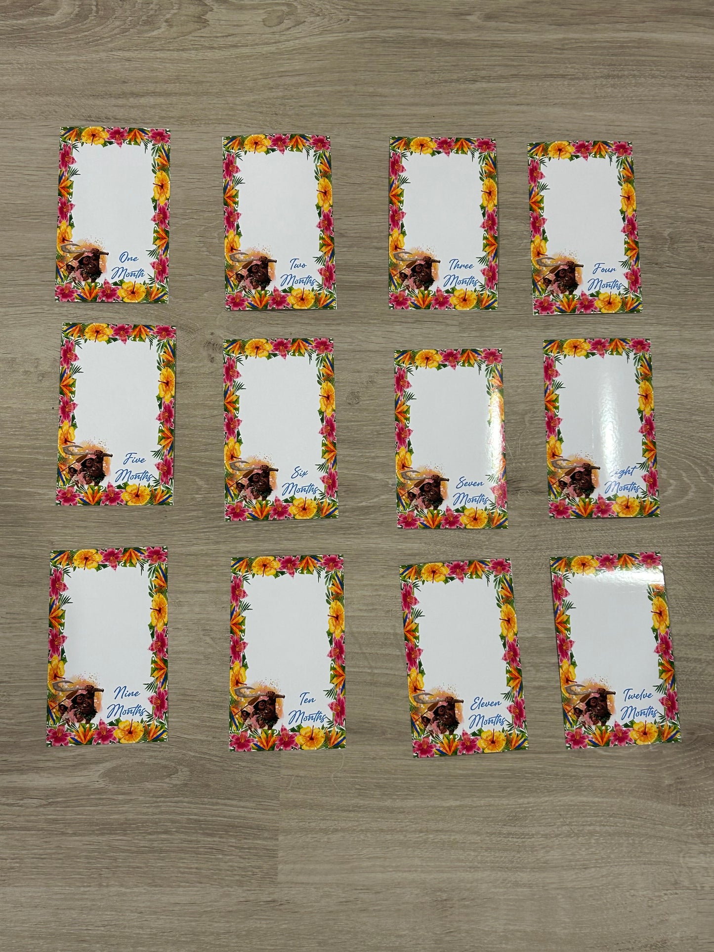 12 month photo banner - Moana theme