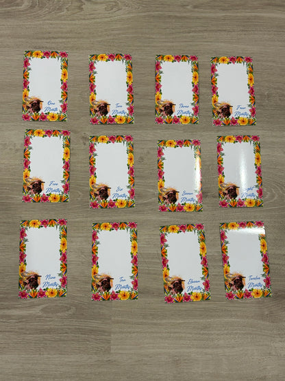 12 month photo banner - Moana theme