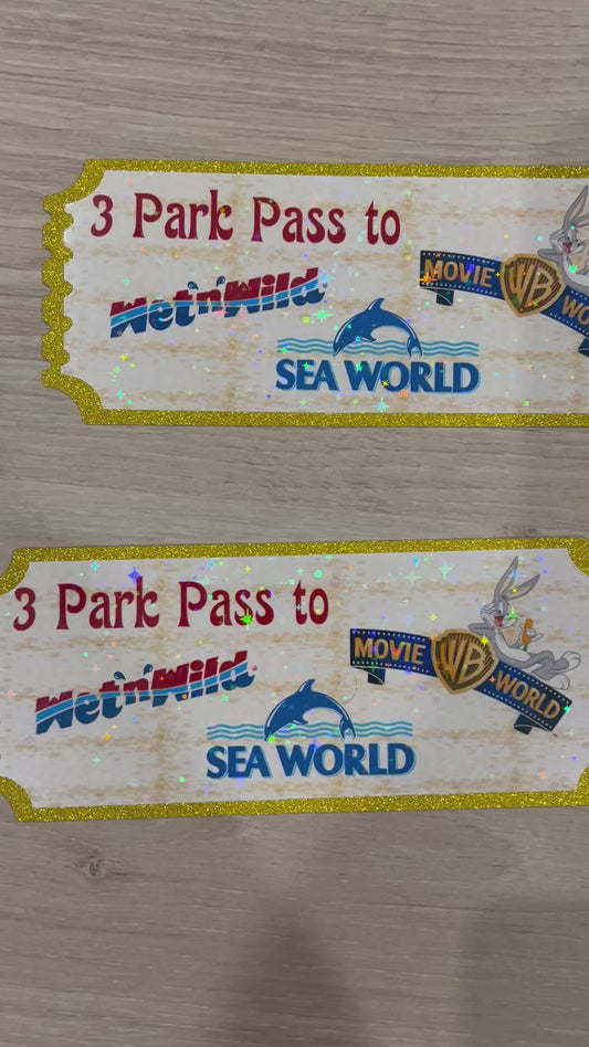 Plane and theme park tickets