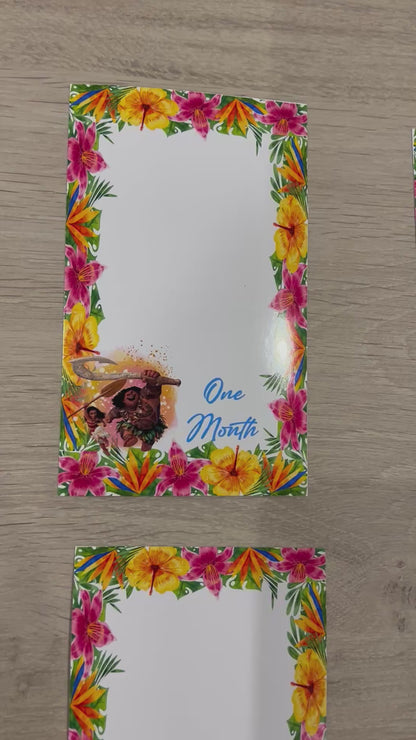 12 month photo banner - Moana theme