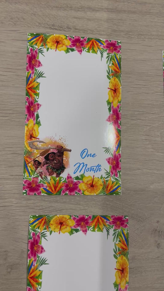 12 month photo banner - Moana theme